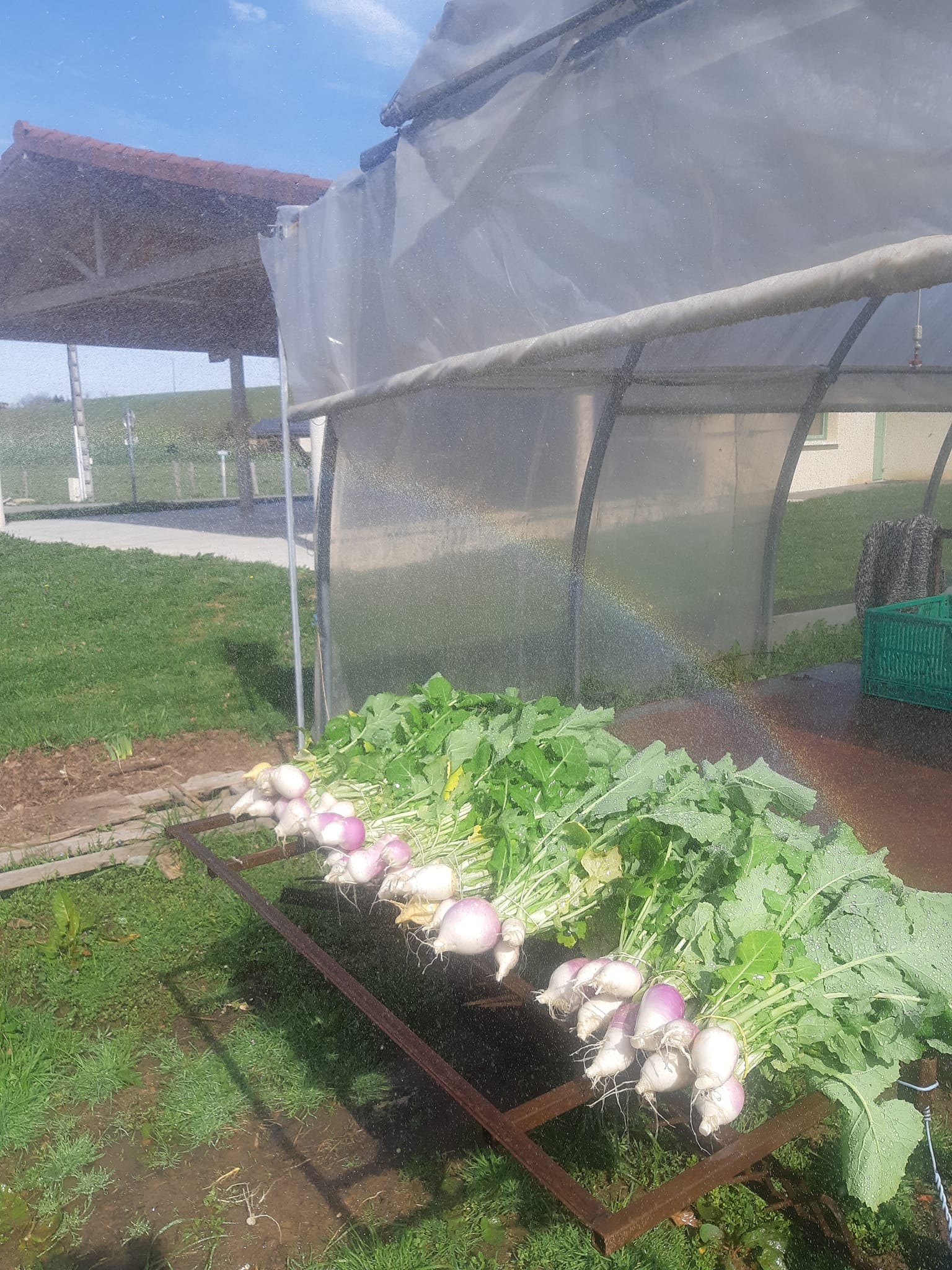 336803308 212033328106827 5455659201602167847 n