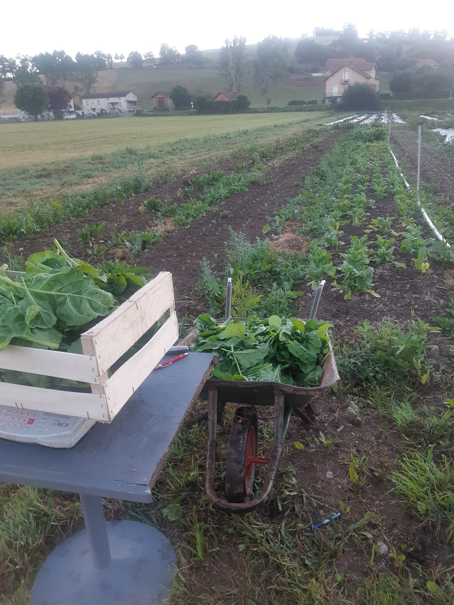 292078408 760561241637816 8990571051001303632 n