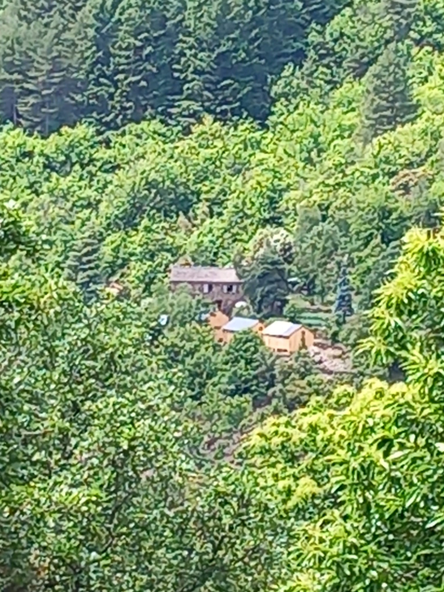 Img 20240310 wa0037