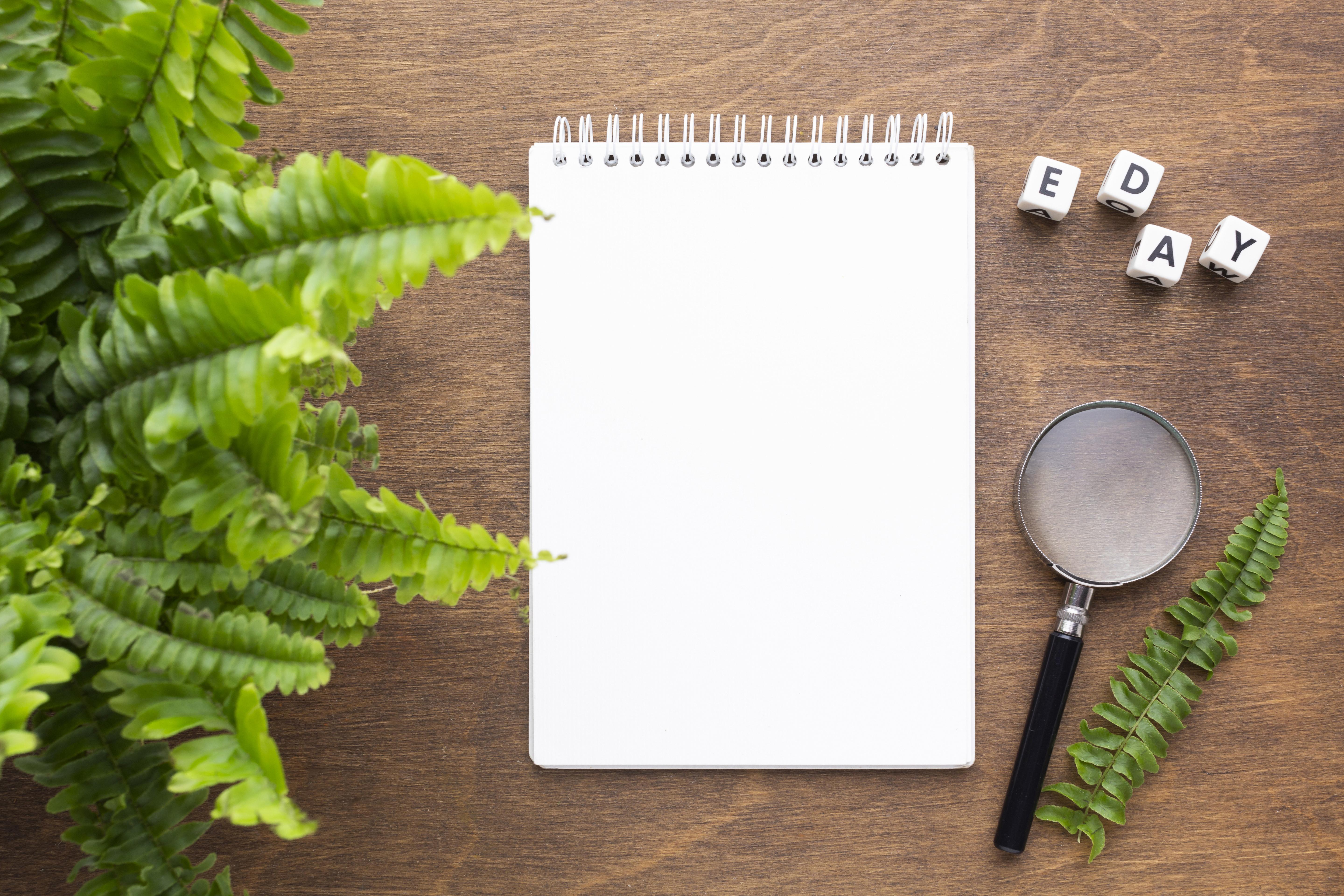 Top-view-plant-notebook-arrangement-2-