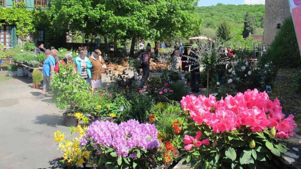 Marche-aux-fleurs-gargilesse