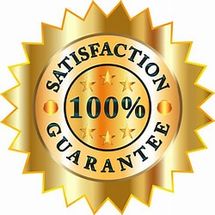 Logo-100-satisfaction