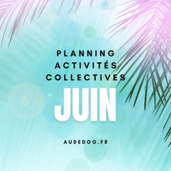 Planning activités collectives de Juin