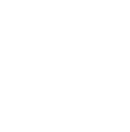 Logo-vins-de-valencay-blanc-transparent