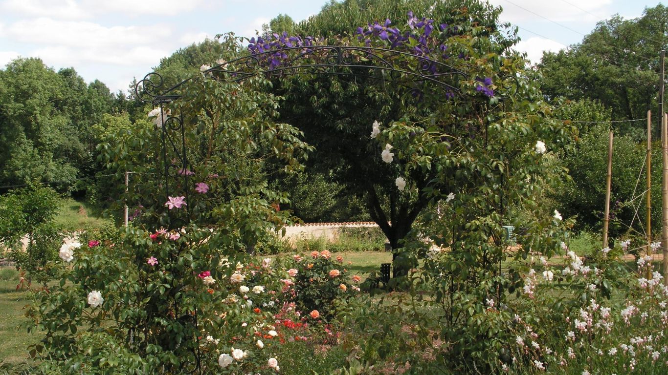 Jardin chez Pheonixette 2 