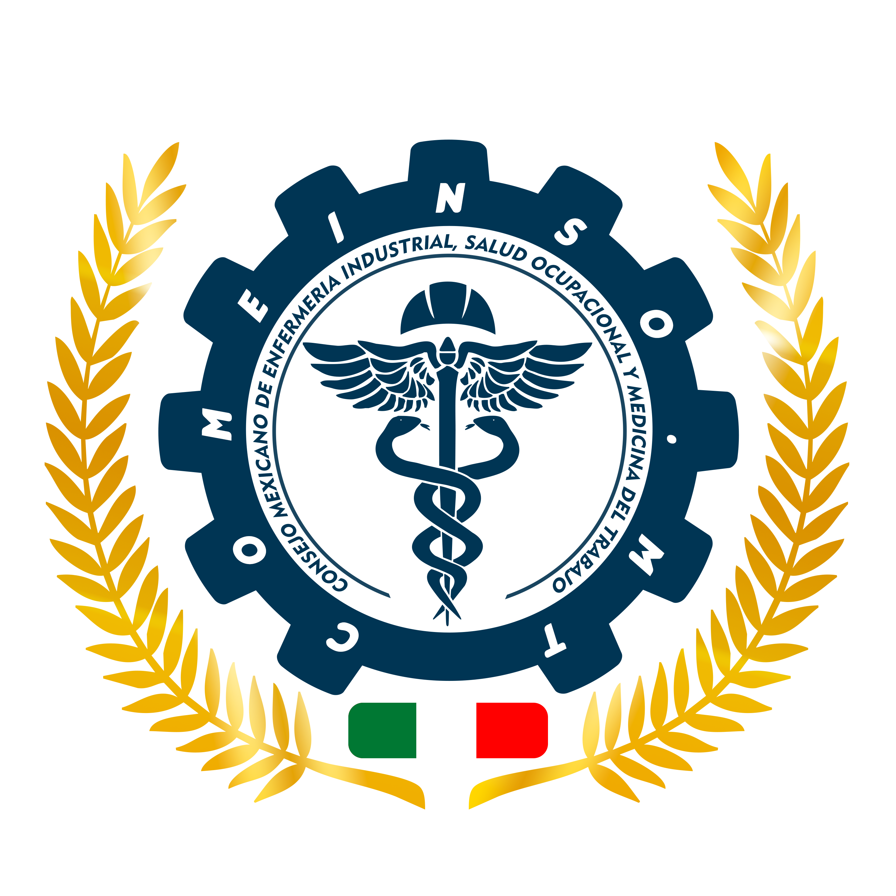 Logo-comeinsomt1