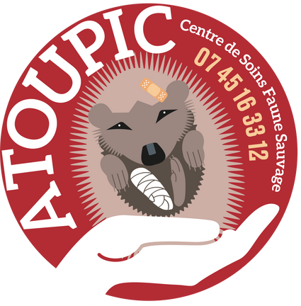 Logo-Atoupic