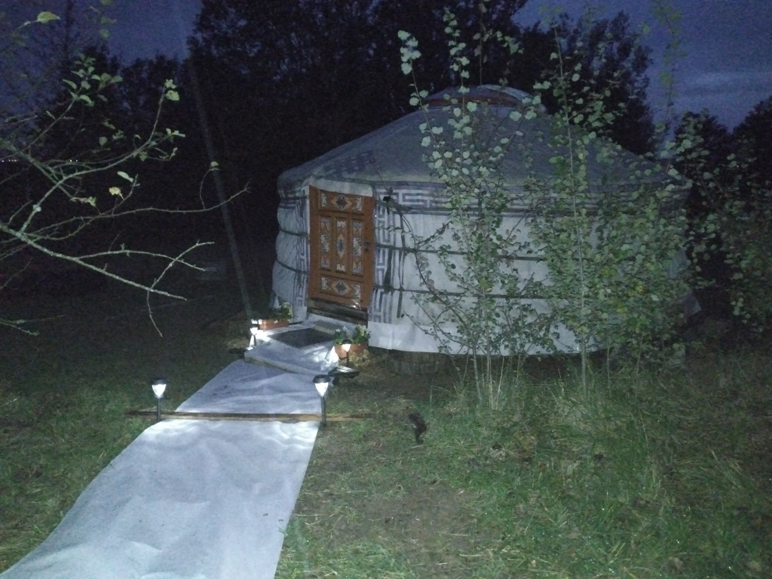 IMG 20221115 173805-1-