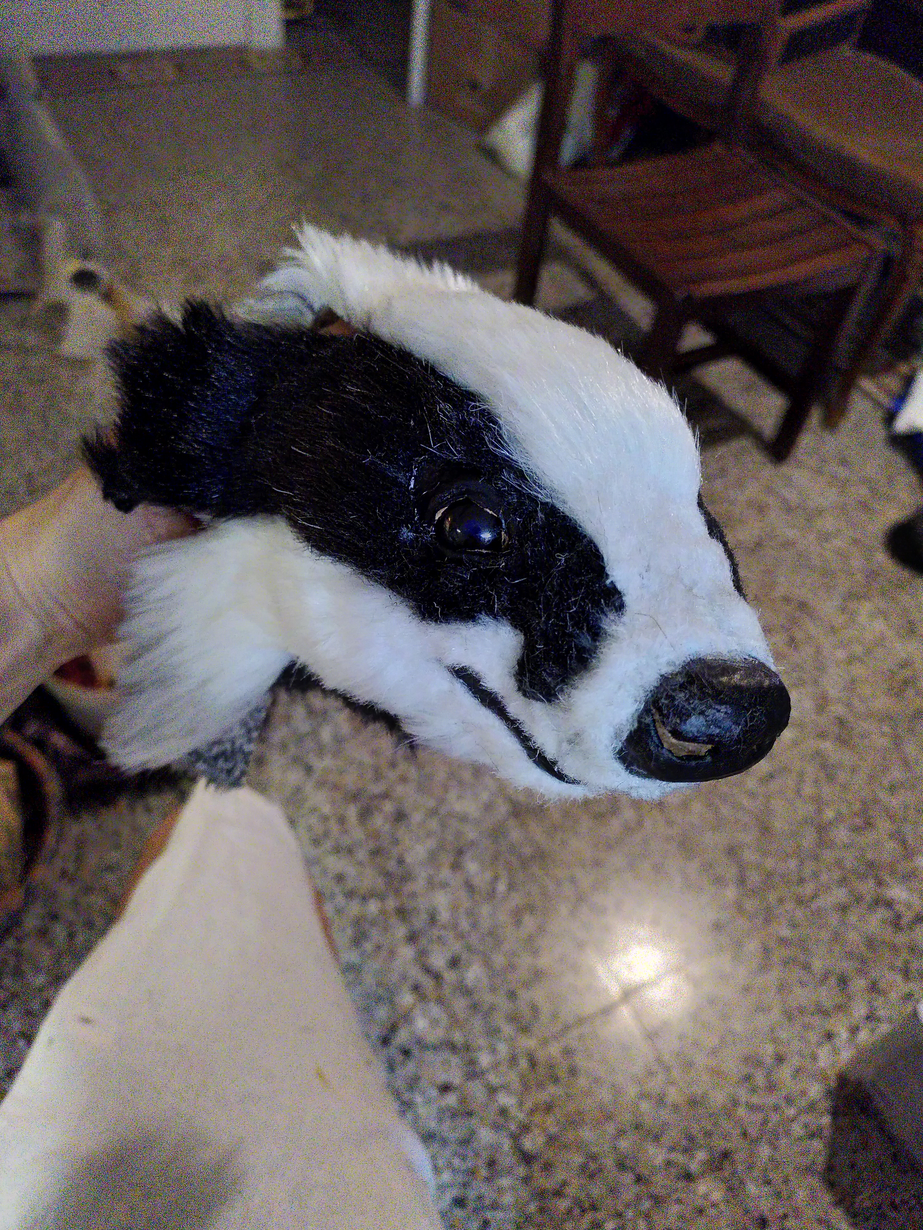 Img 20230827 145954