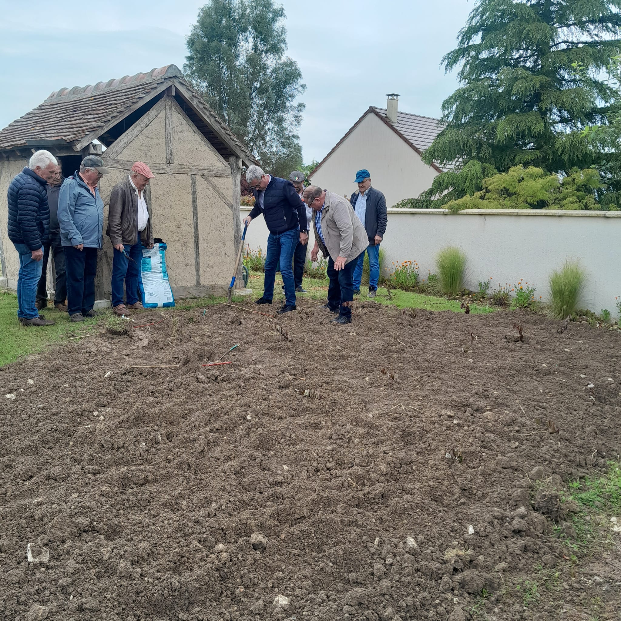 plantation de pieds de vigne alsacien