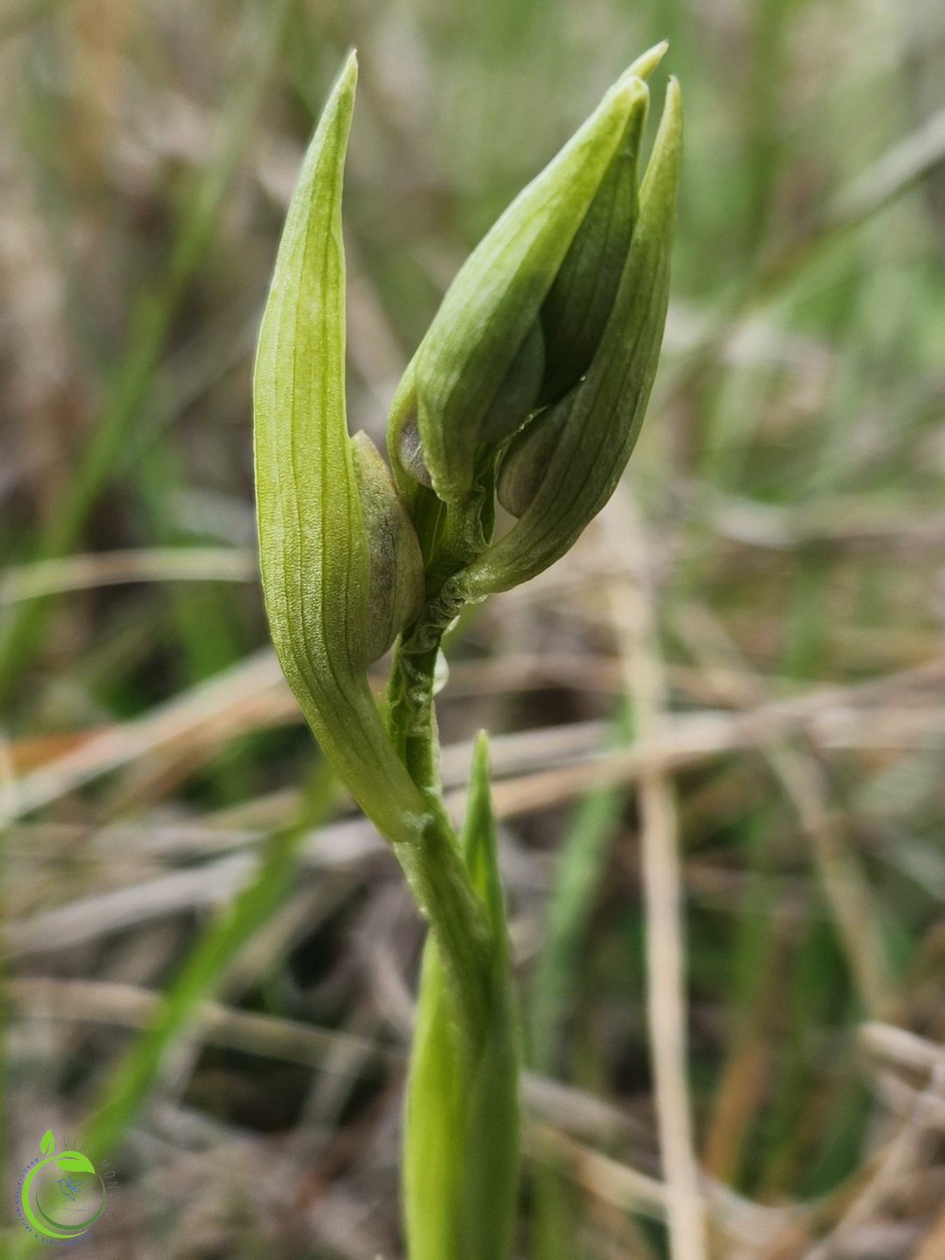 2024 04 27t10 49 38 02 00 ok