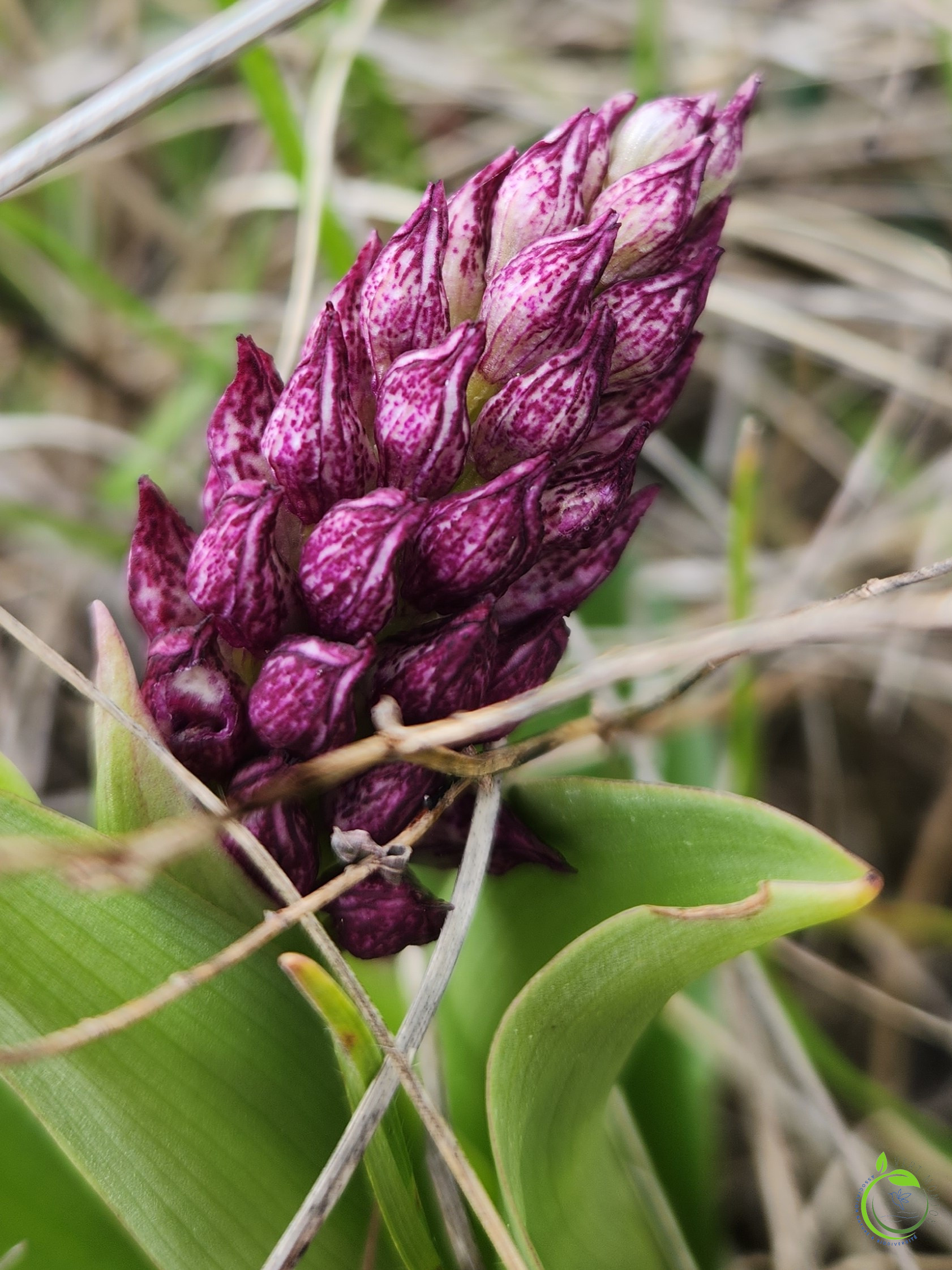 2024 04 27t09 58 42 02 00 ok