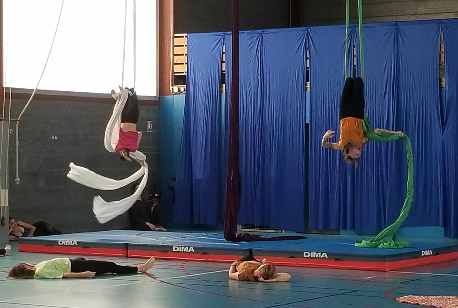 Tissu1