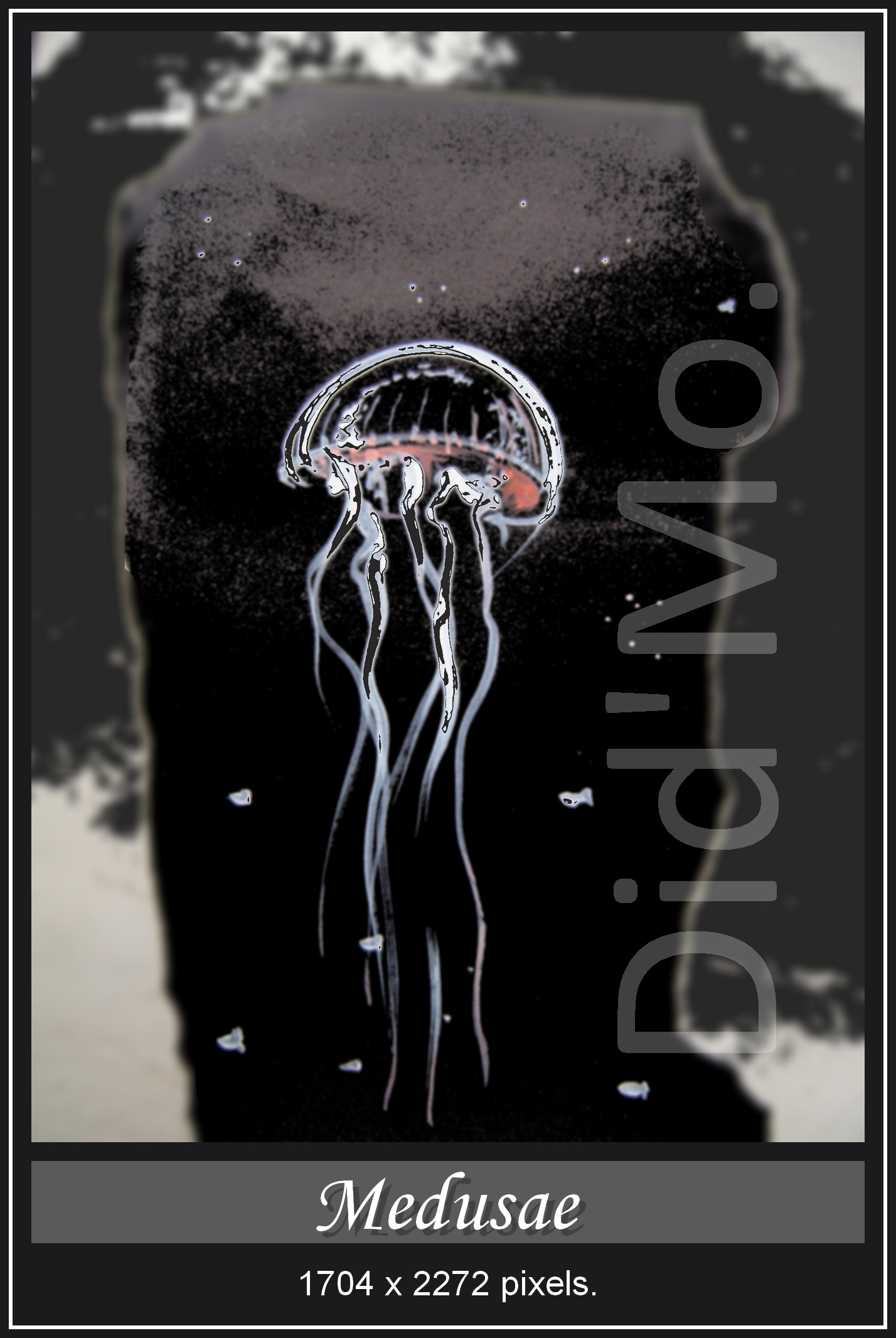 Medusae