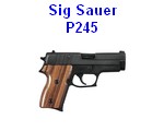 Sig-Sauer-P245-liste