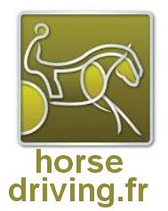 Horsedriving-fr