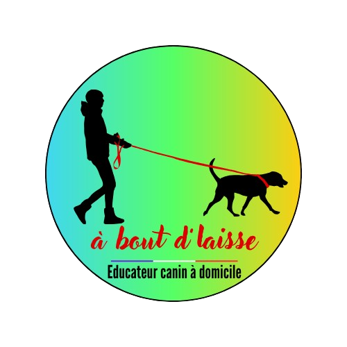 Logo cercle-removebg-preview