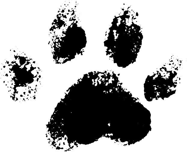 N-b-nlml-