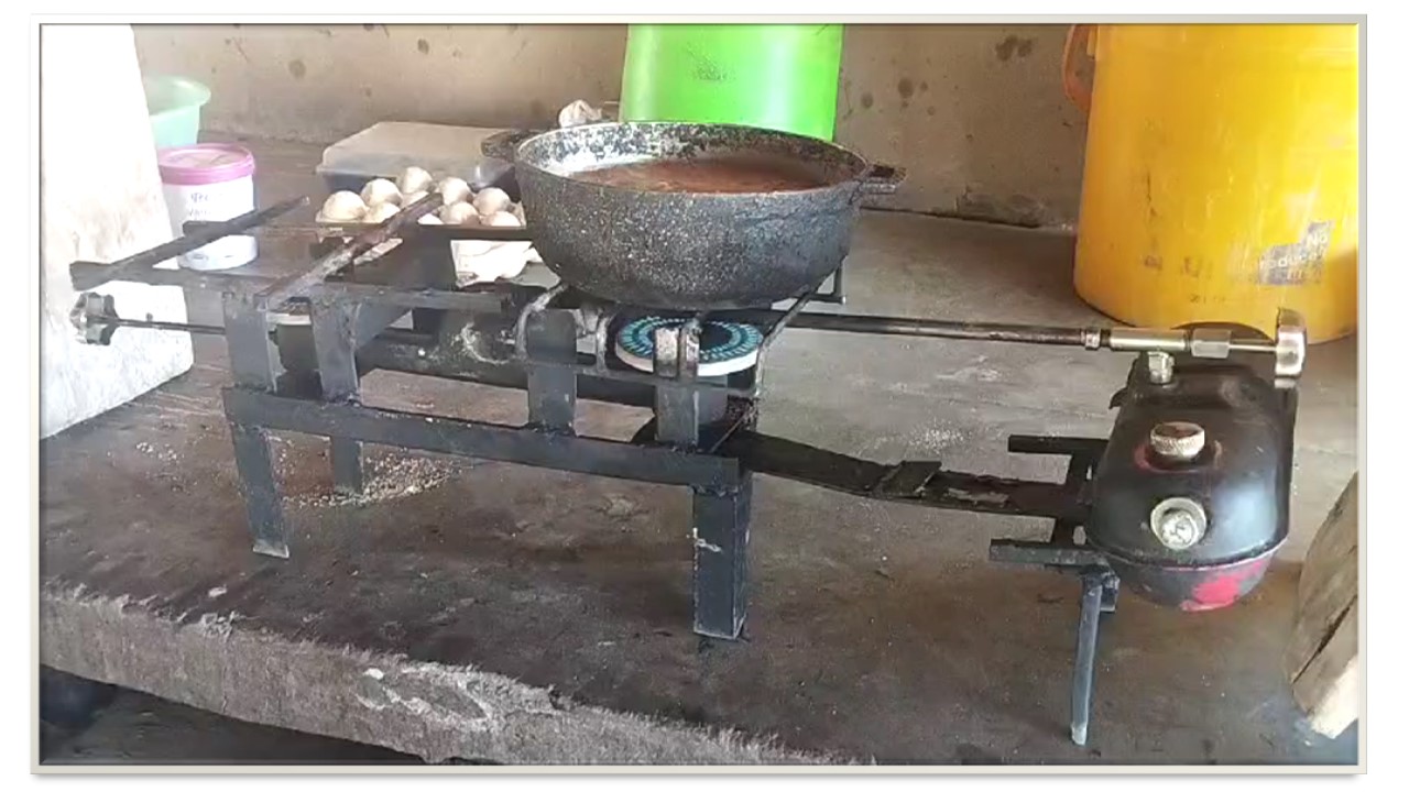 Bio-Combustion555