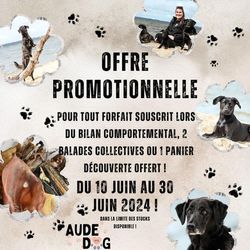 Offre promotionnelle