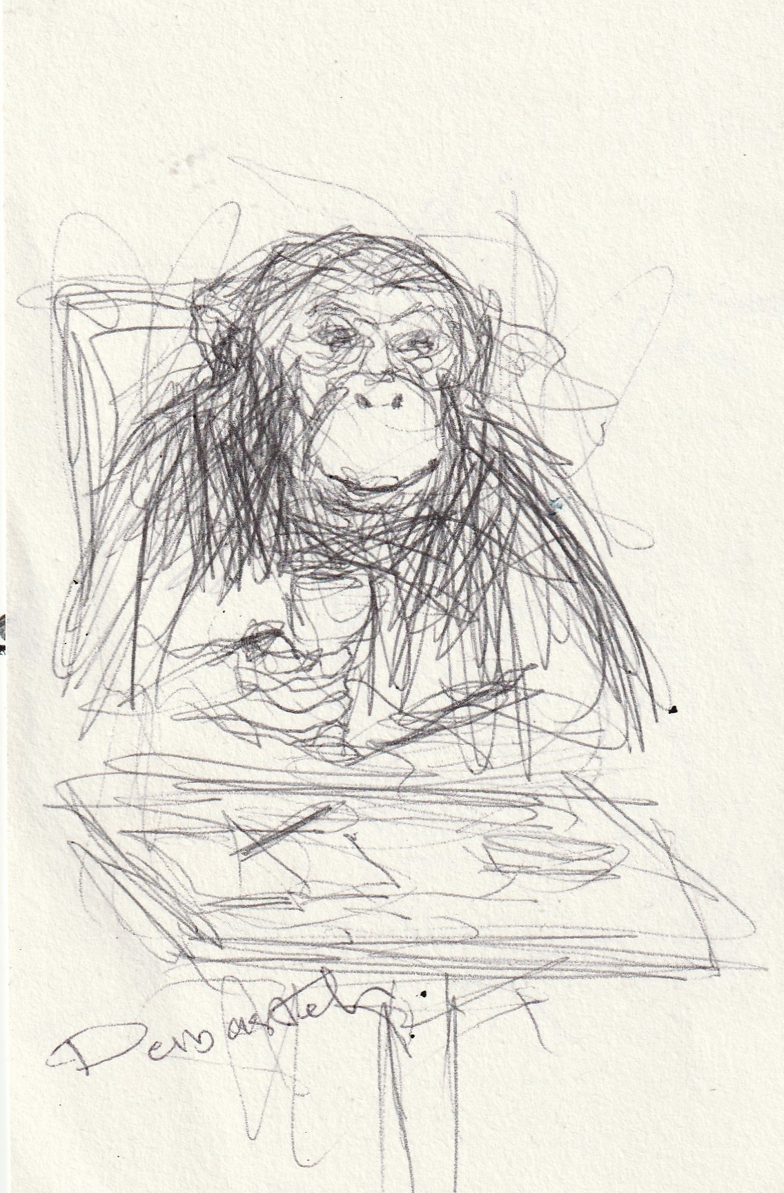 Ghodrat delbasteh croquis eu stylo