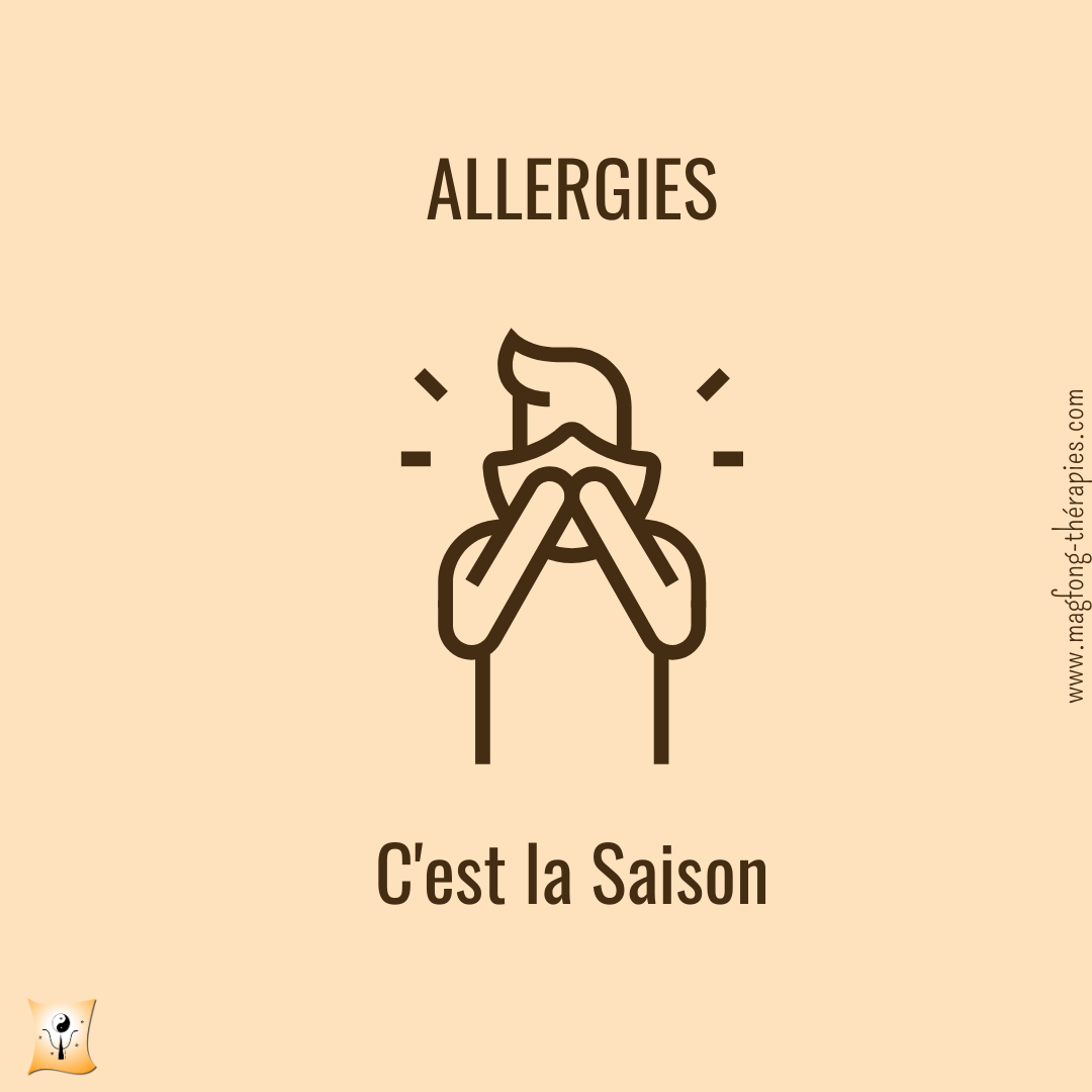 Allergies - C'est la Saison