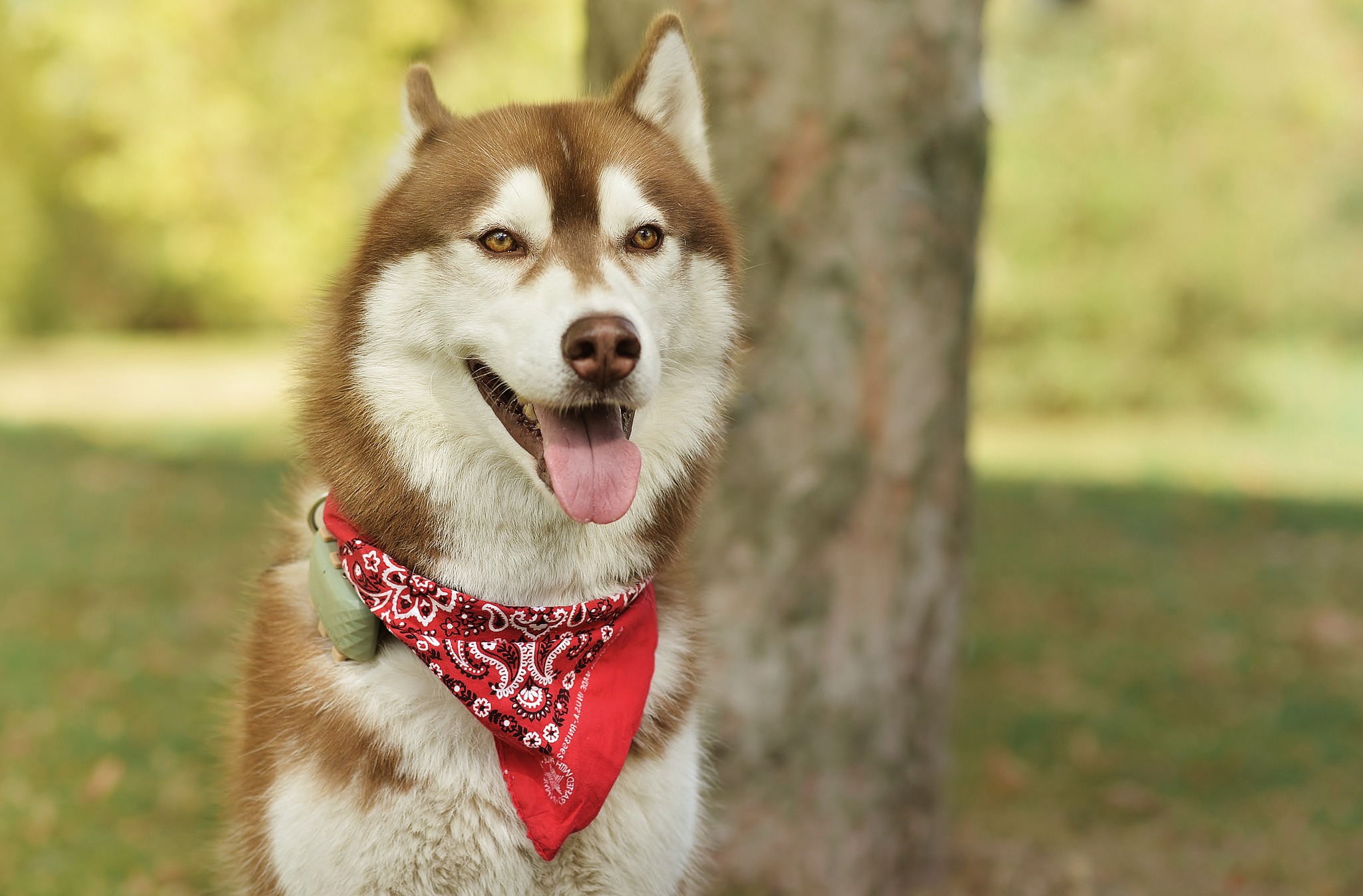 391713173 1780237859095153 4970940065205758343 n