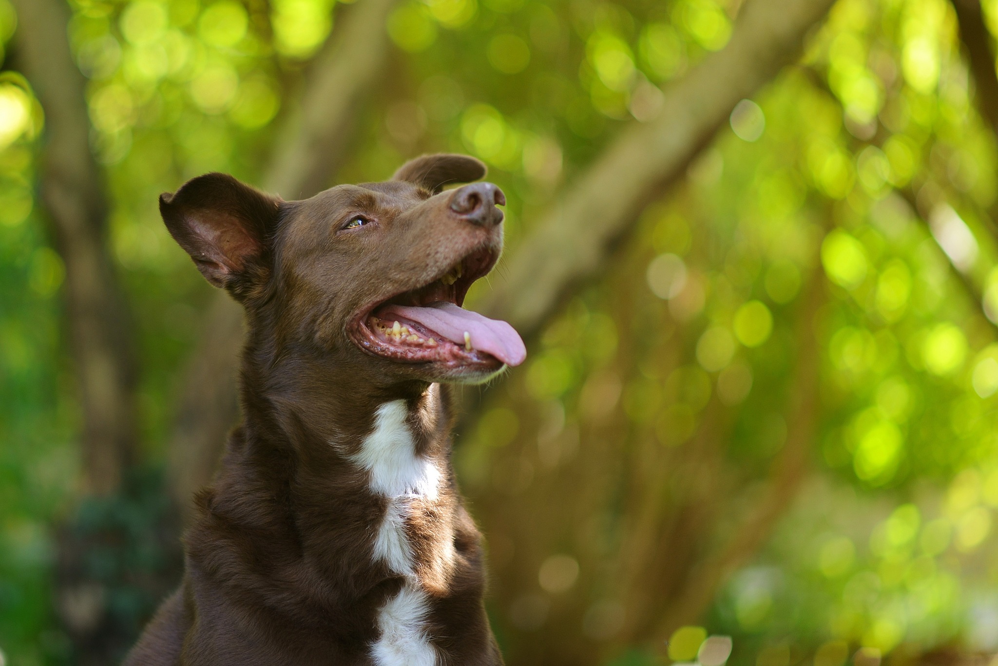 385057931 1773354356450170 2264965194050250788 n