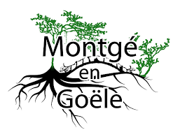 épaviste à montgé-en-goële 77