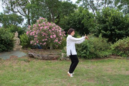 Qi gong bourgoin artdumieuxetre