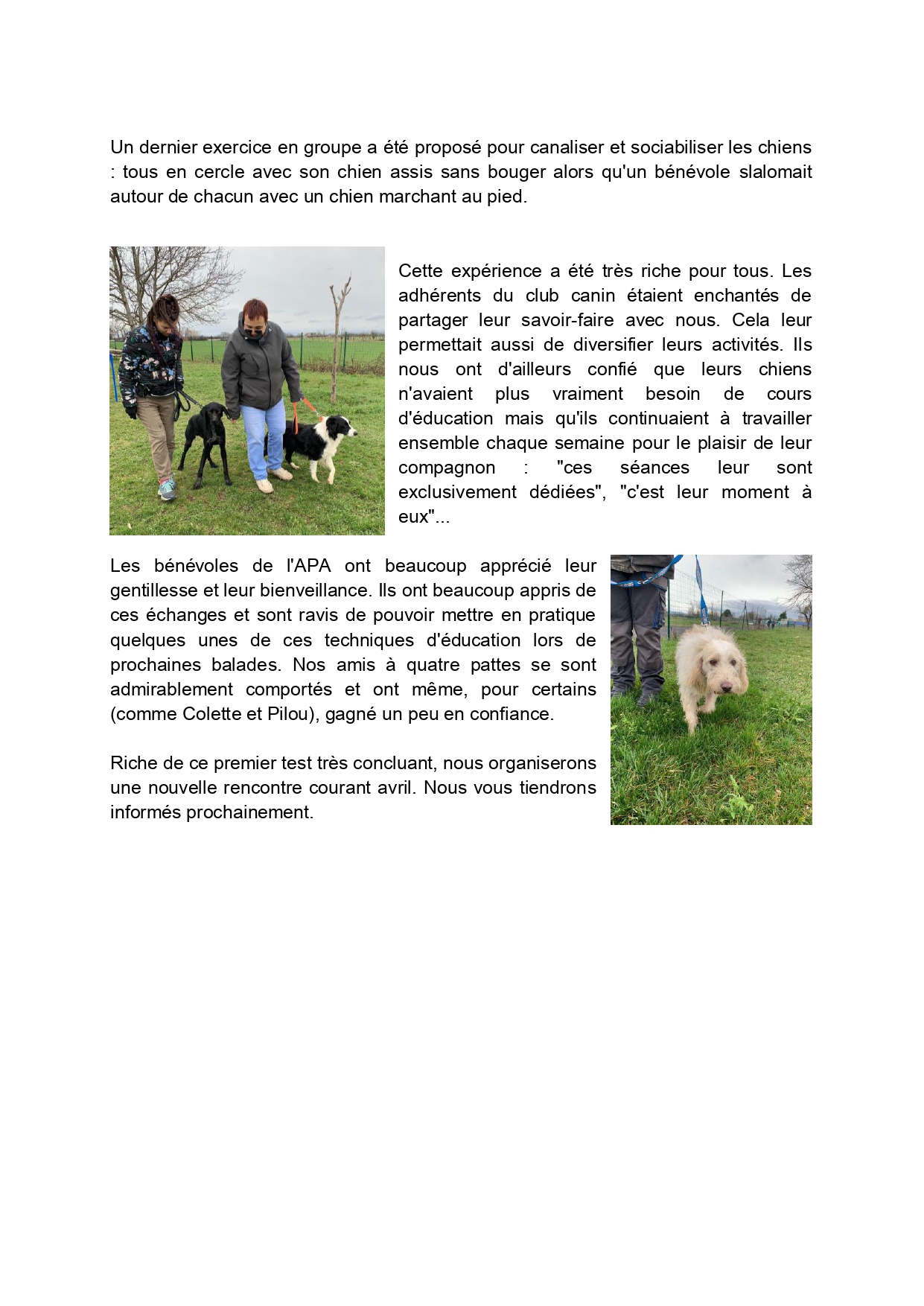 Rencontre-canine-CCP-APA page-0002
