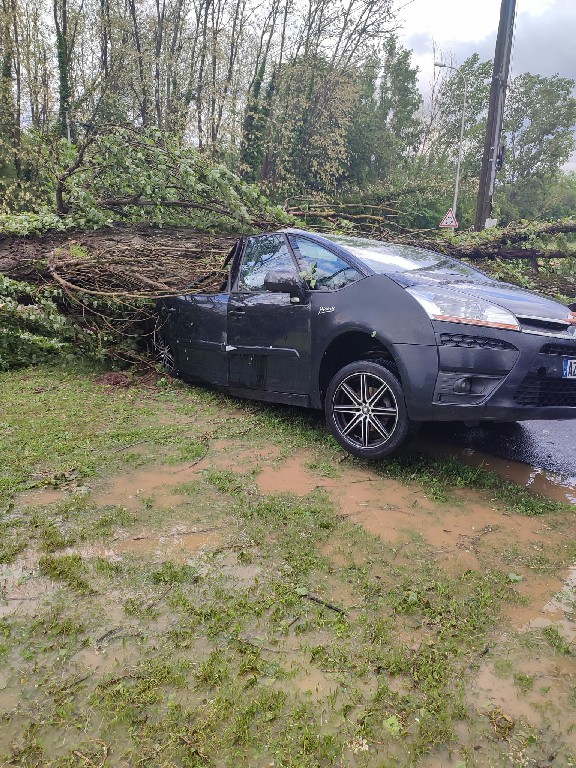 440937569 847226967451060 4620556465772560572 n 1 1