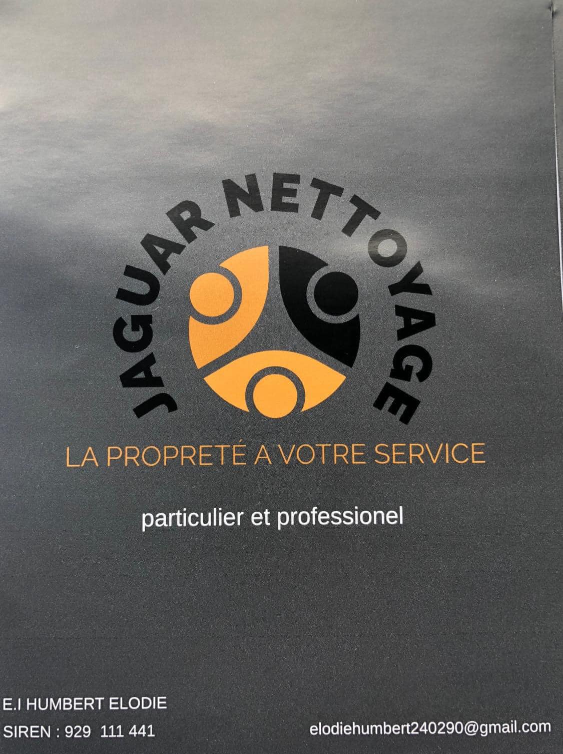 Jaguar-nettoyage