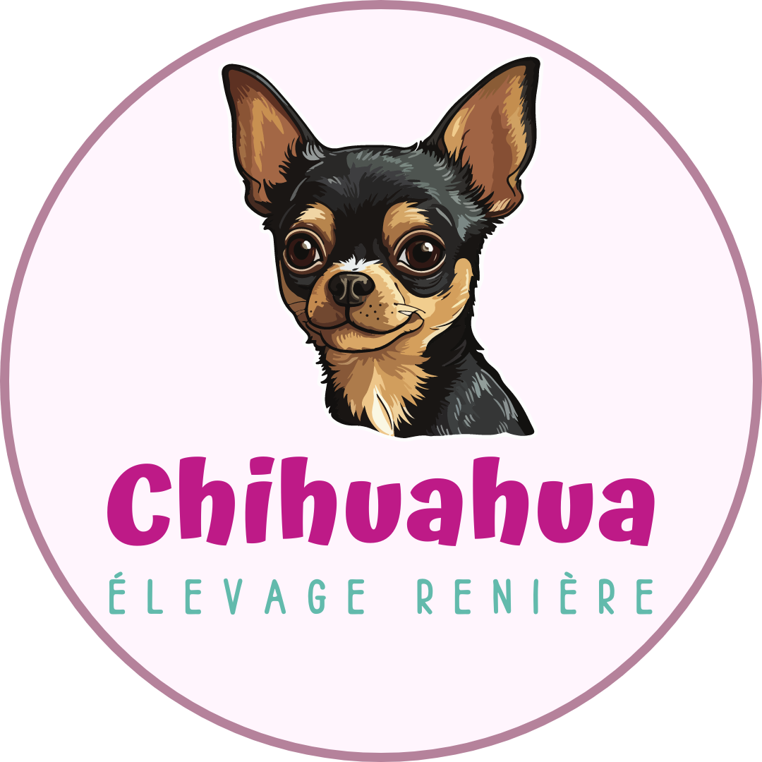 Logo-Chihuahua-Reniere-2