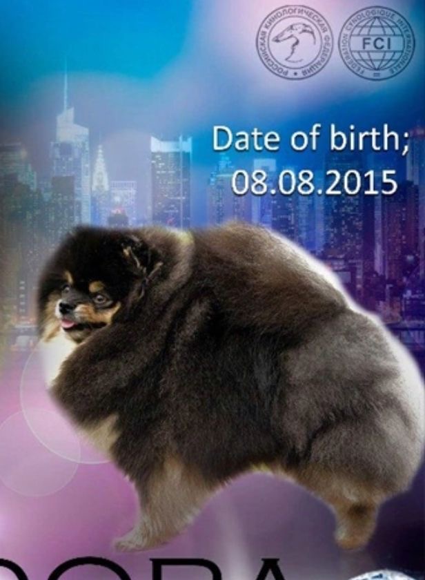 Date of birth 