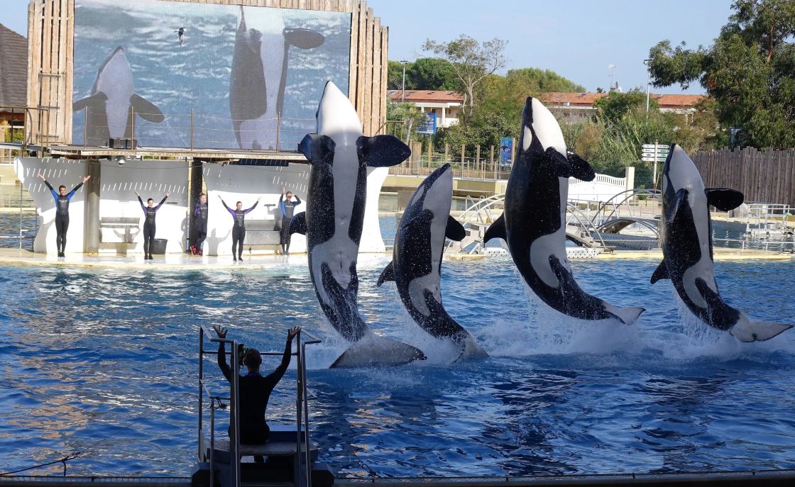 MARINELAND d'ANTIBES et Musée océanographique de Monaco les 20 et 21 oct 2018