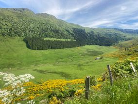 Cantal-2-puy-mary