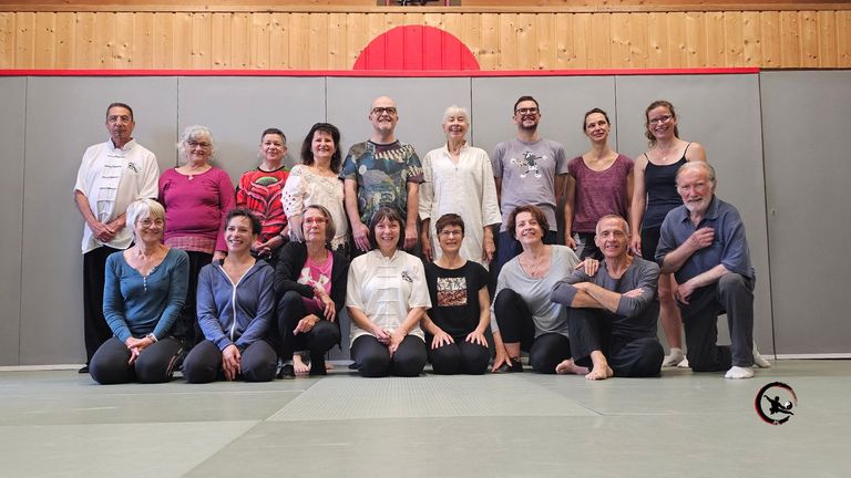 Retour sur le Stage de Qi Gong et Tai Chi à Bourgoin : « Cultiver l'Harmonie et la Force Interne » 