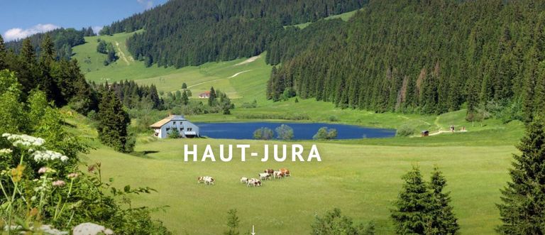 Haut jura ete lac de lamoura