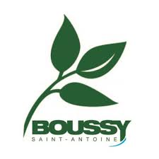 épaviste gratuit à boussy saint antoine