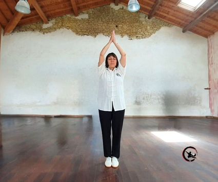 Qi gong tai chi bourgoin en entreprise ame artdumieuxetre adeline viviant