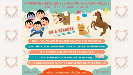Slide reguler ses reactions face animal expansif page accompagnement collectif