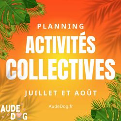 Planning de l'été