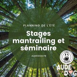 Planning stages mantrailing et séminaire