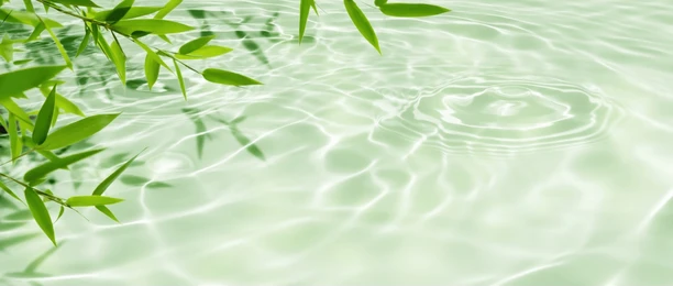 Image17