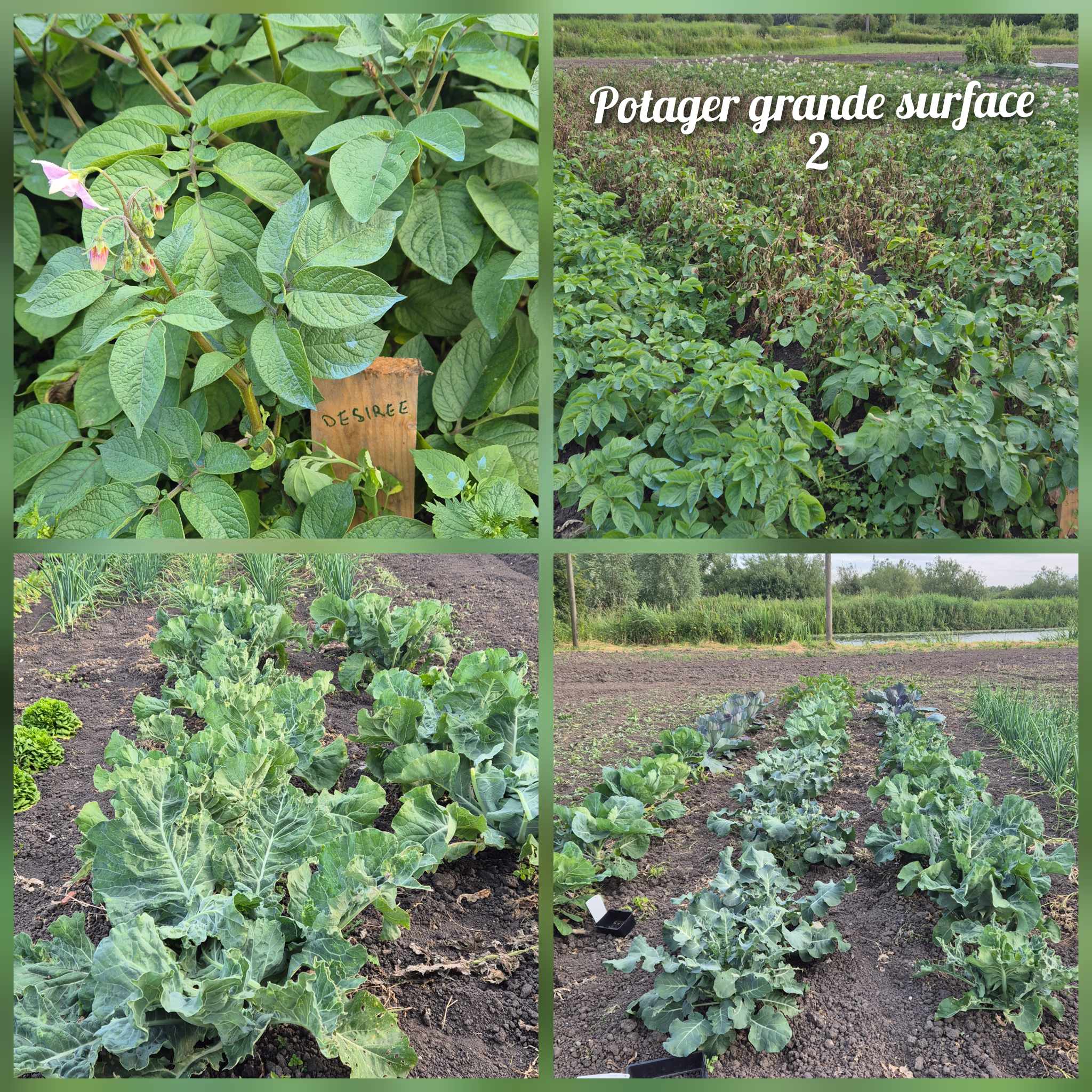 Potager gs 2