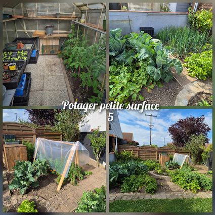 Potager ps 5