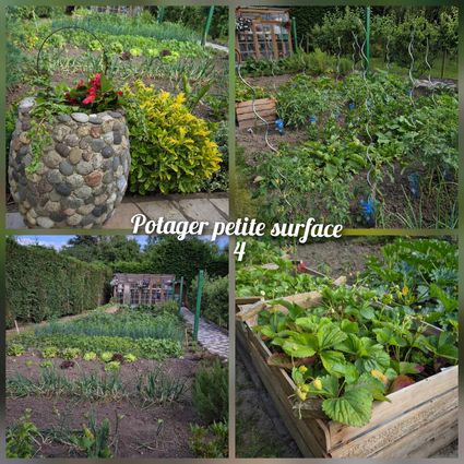 Potager ps 4