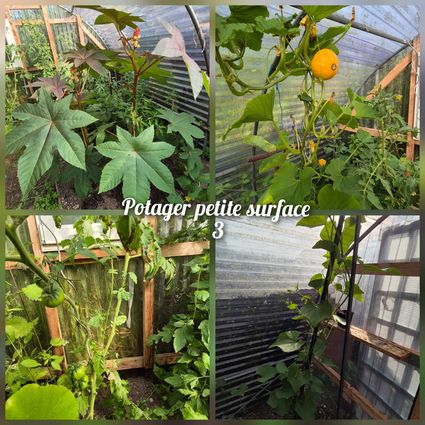 Potager ps 3