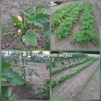 Potager ps 2